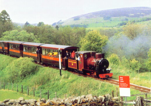 Naklo and train at Wanwood Crossing, near Kirkhaugh
